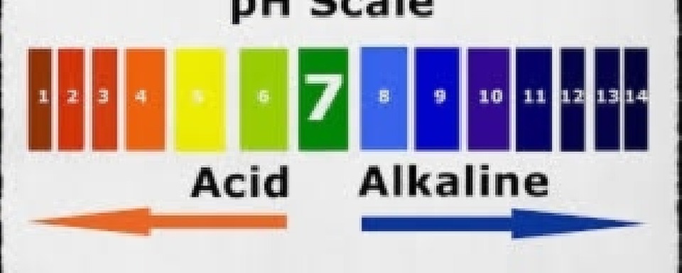 pH scale