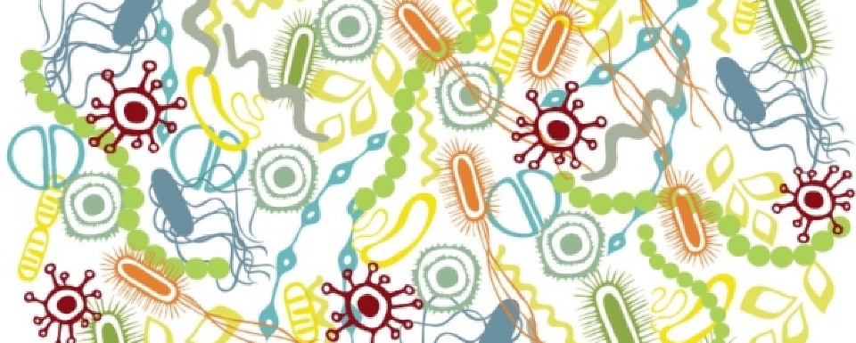 microbiome