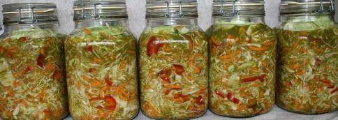 fermented vegies