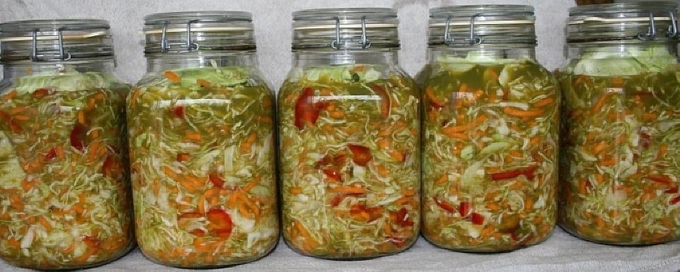 fermented vegies