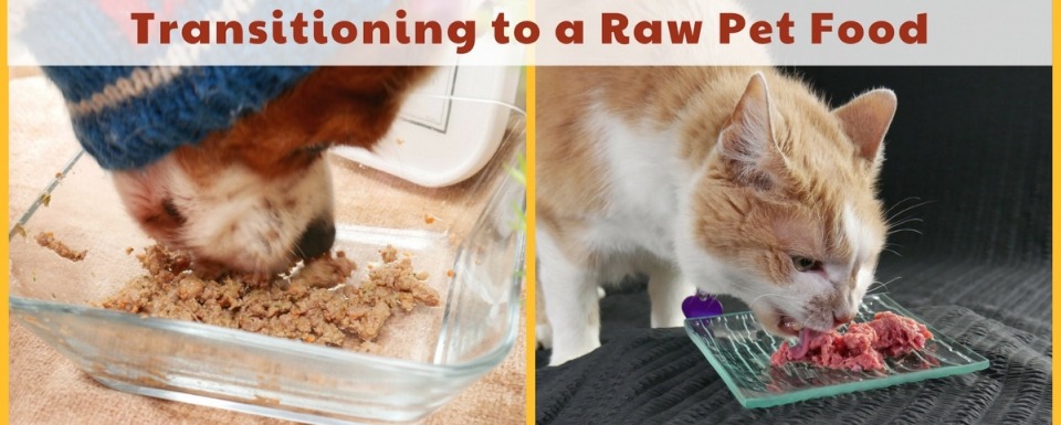 low phosphorus raw cat food