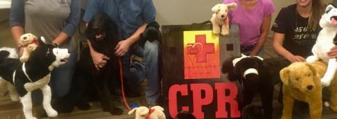 K9 CPR Class