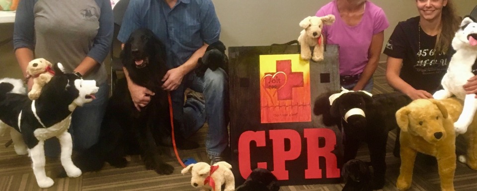 K9 CPR Class