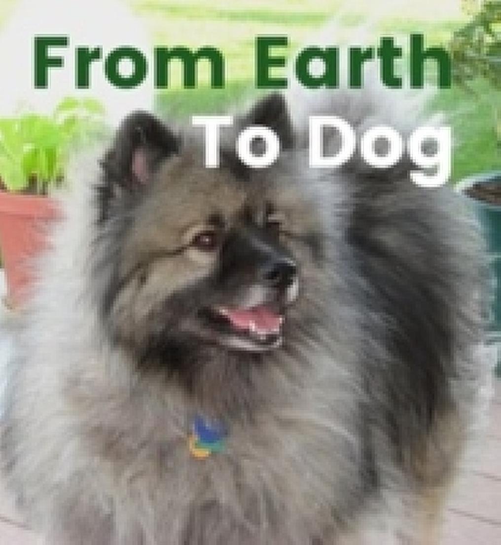 From Earth to Dog