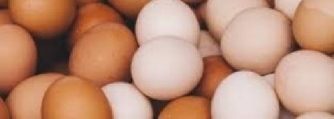 more eggs