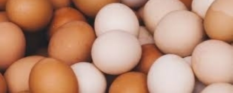 more eggs
