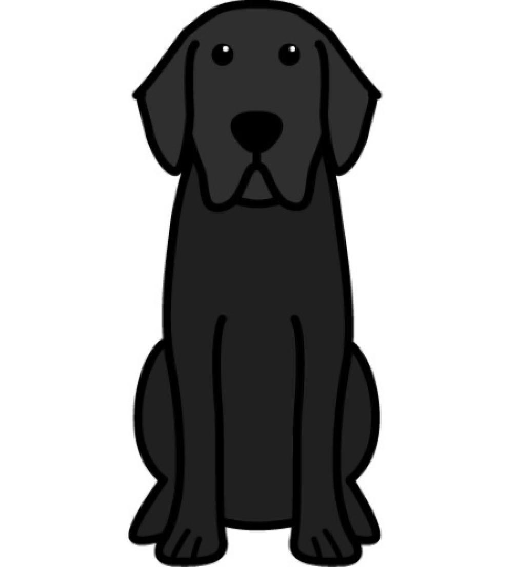Bailey