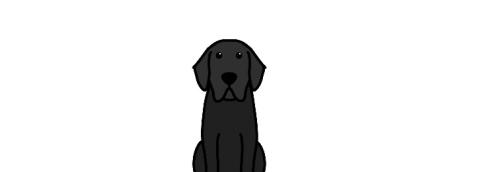 Bailey