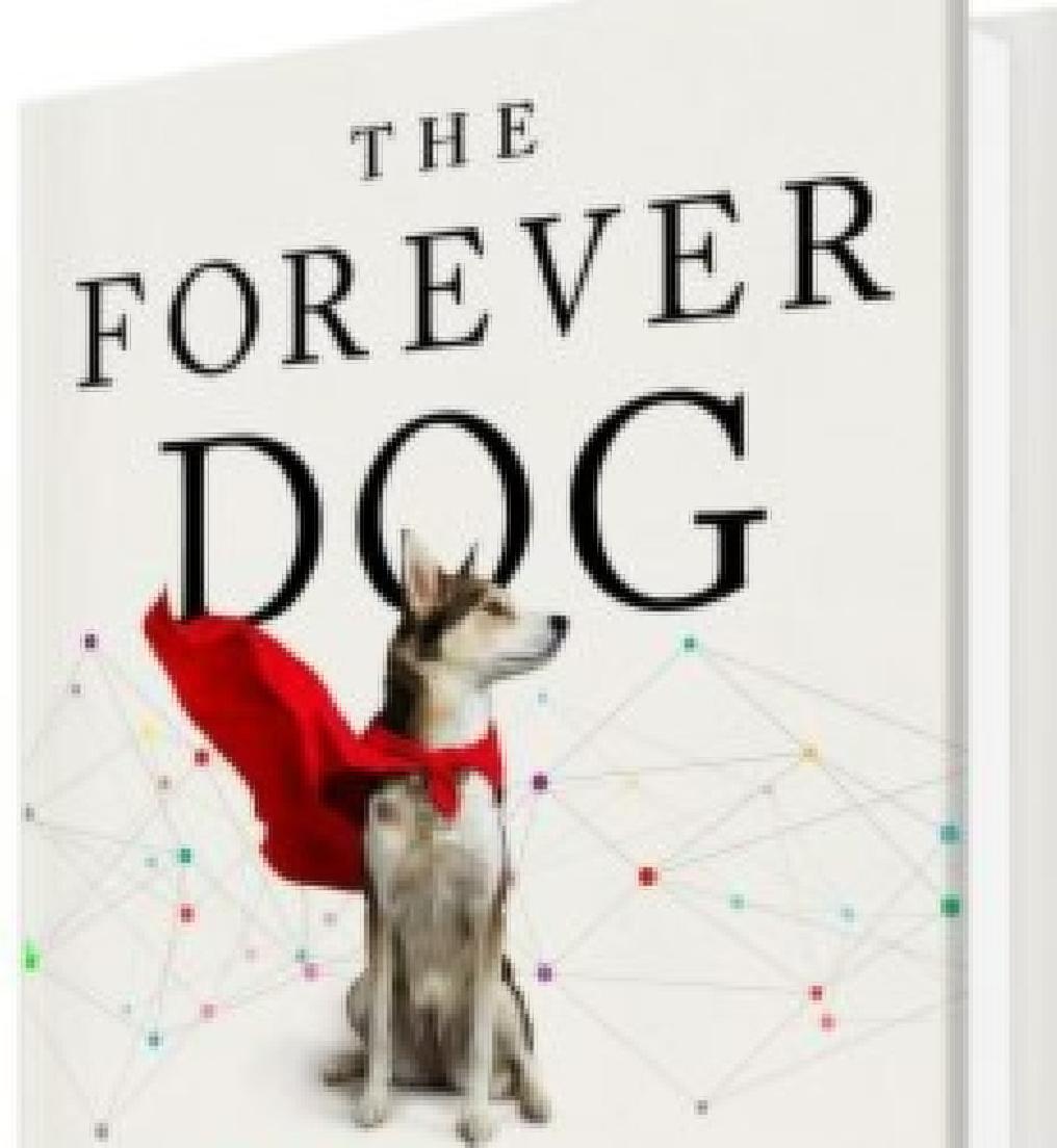 The Forever Dog
