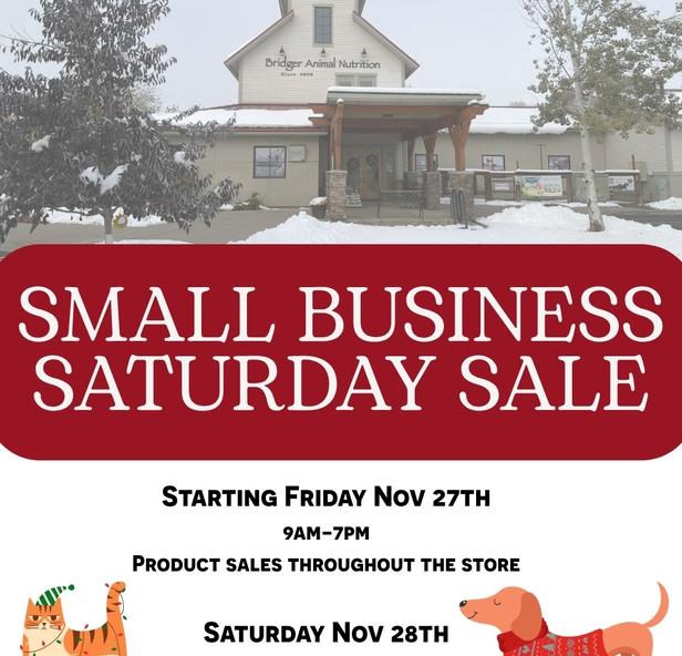 Small Biz Sale